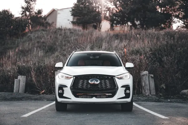 Kasyno Royal Panda Aplikacja Android/iOS